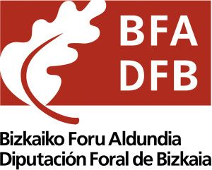 Logo DFB